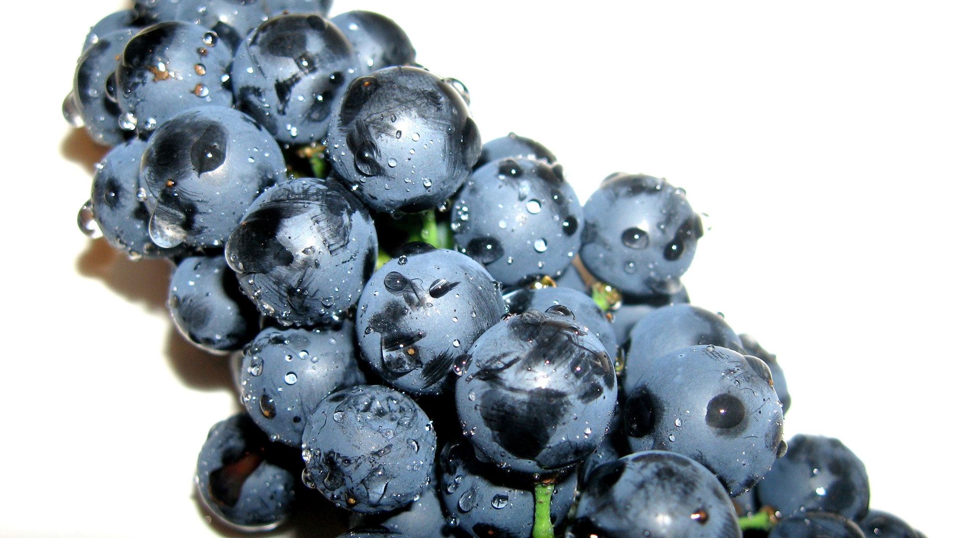 Бесплатное фото Веточка синего винограда на белом фоне