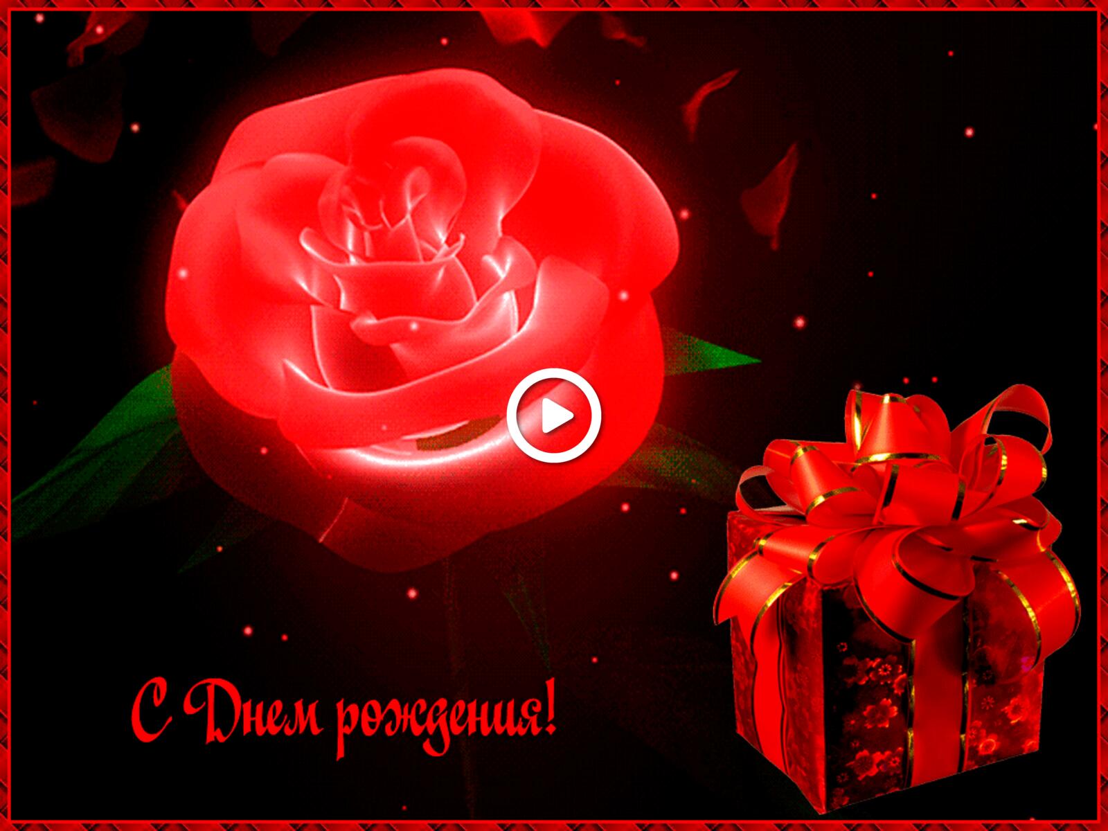 Бесплатная открытка Красная роза на день рождения