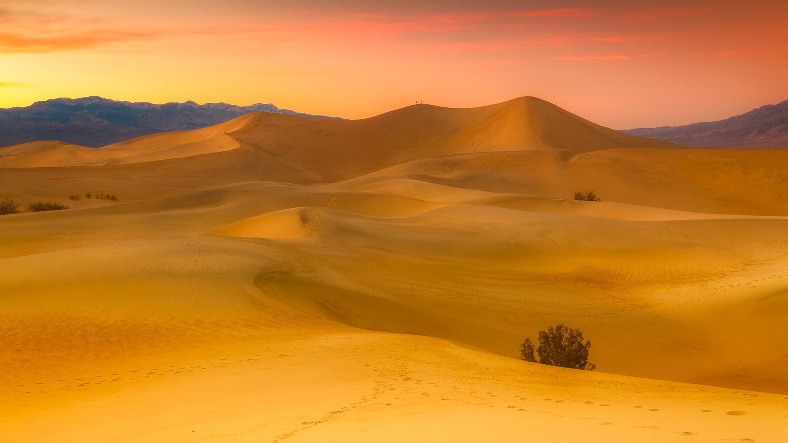 Бесплатное фото Пустыня Сахара