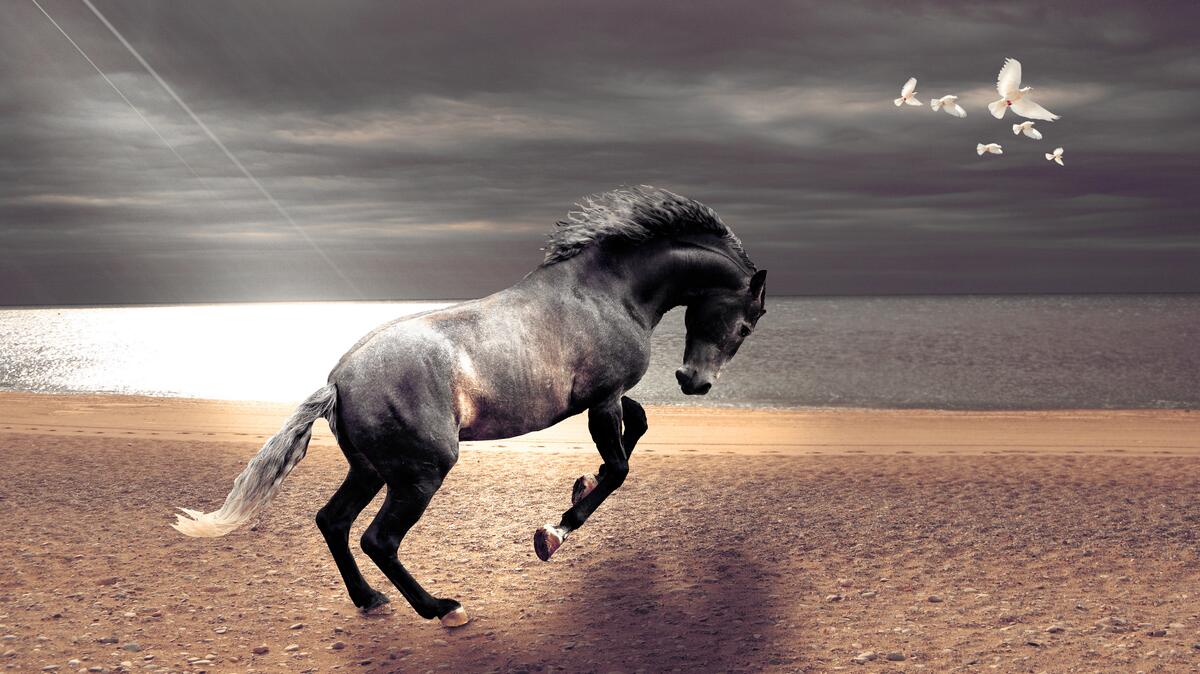 Лошадь скачет на берегу моря