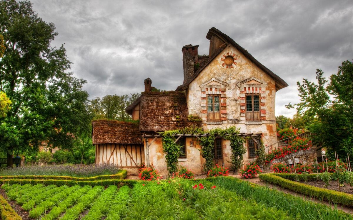 Abandoned country house
