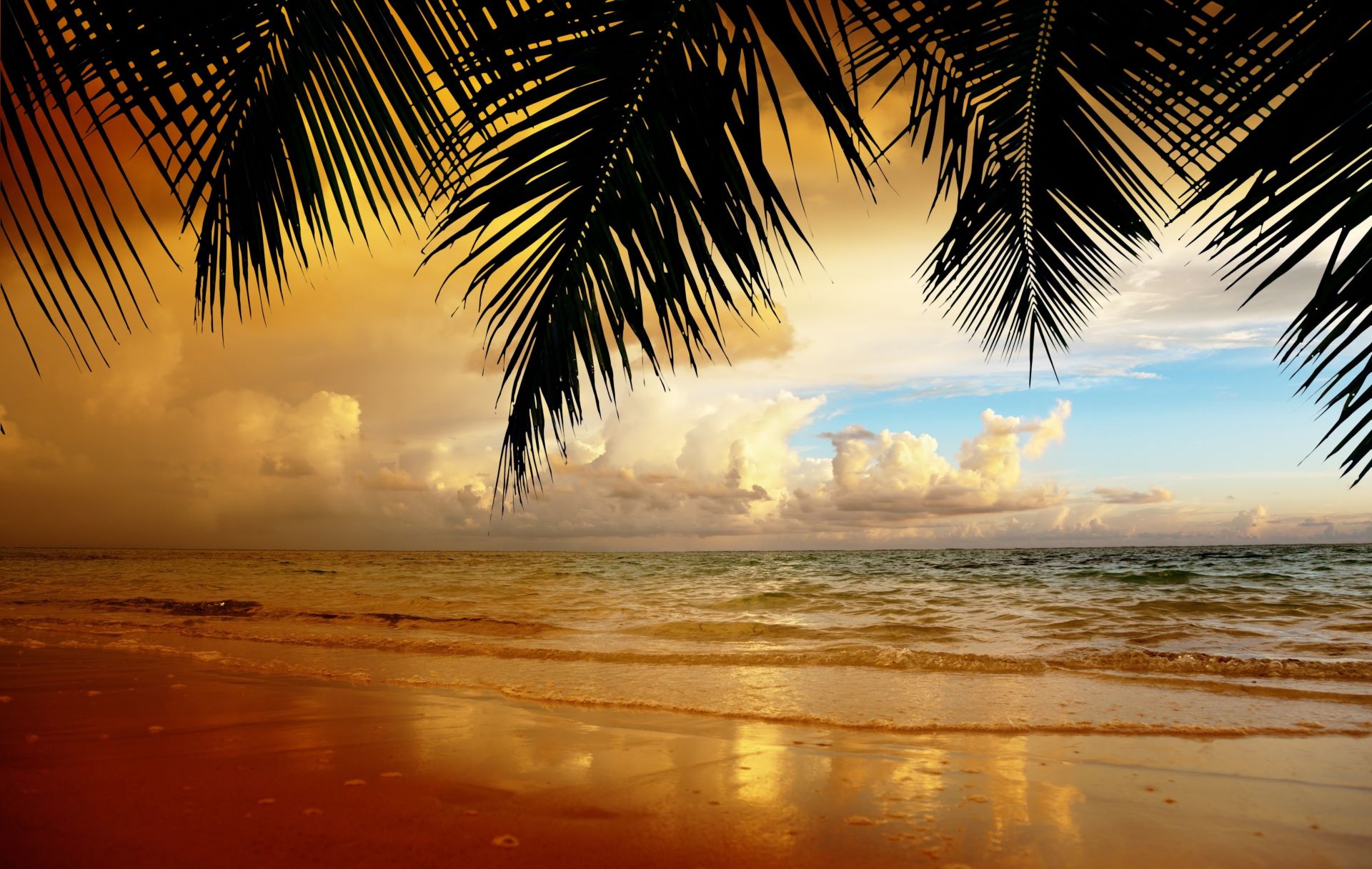 Бесплатное фото Пляж Пальмы Закат
