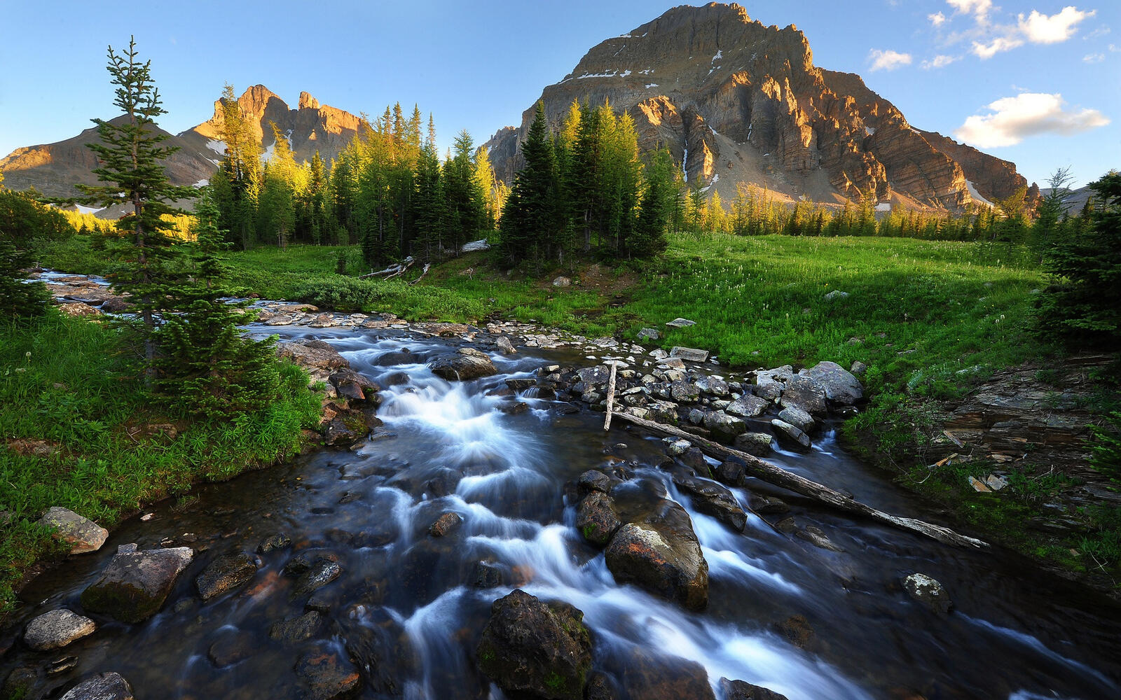Бесплатное фото Летняя картинка с горной мелководной рекой