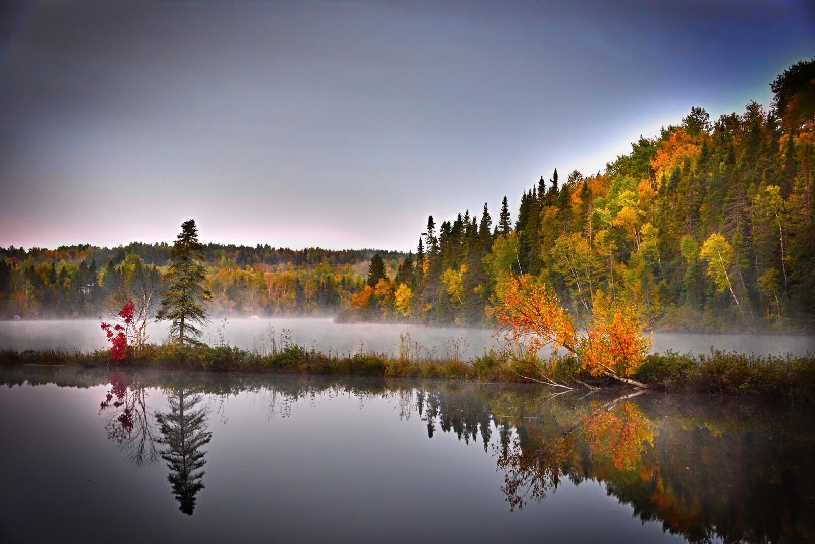 Бесплатное фото Дымка над озером среди осеннего леса