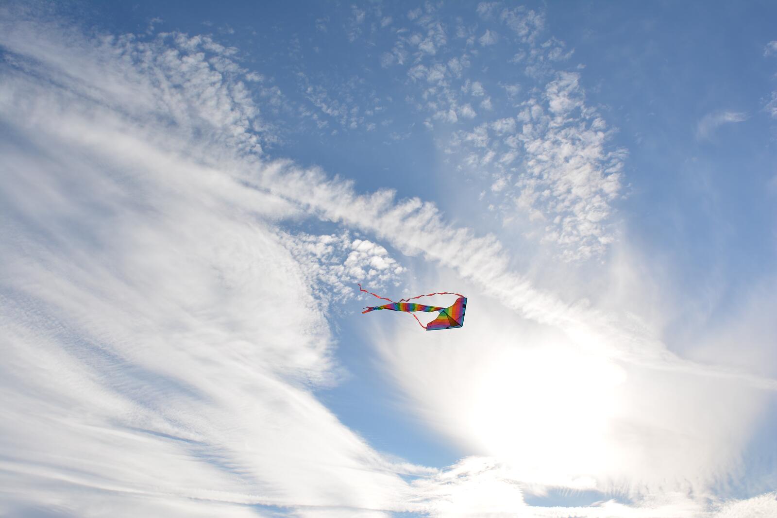 Free photo A brightly colored kite in the sky