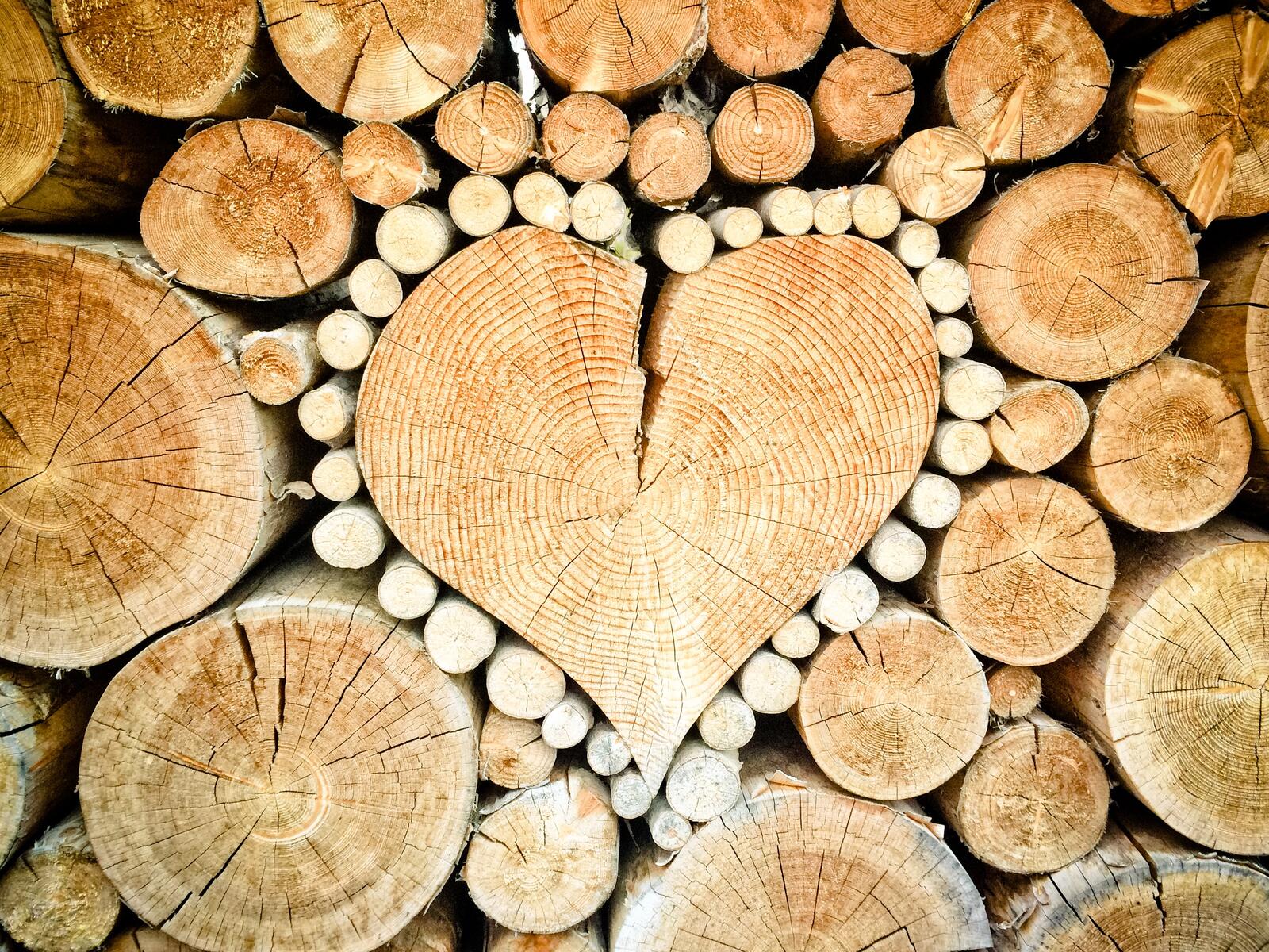 Бесплатное фото Забойка срубленного леса выложенная в форме сердечка