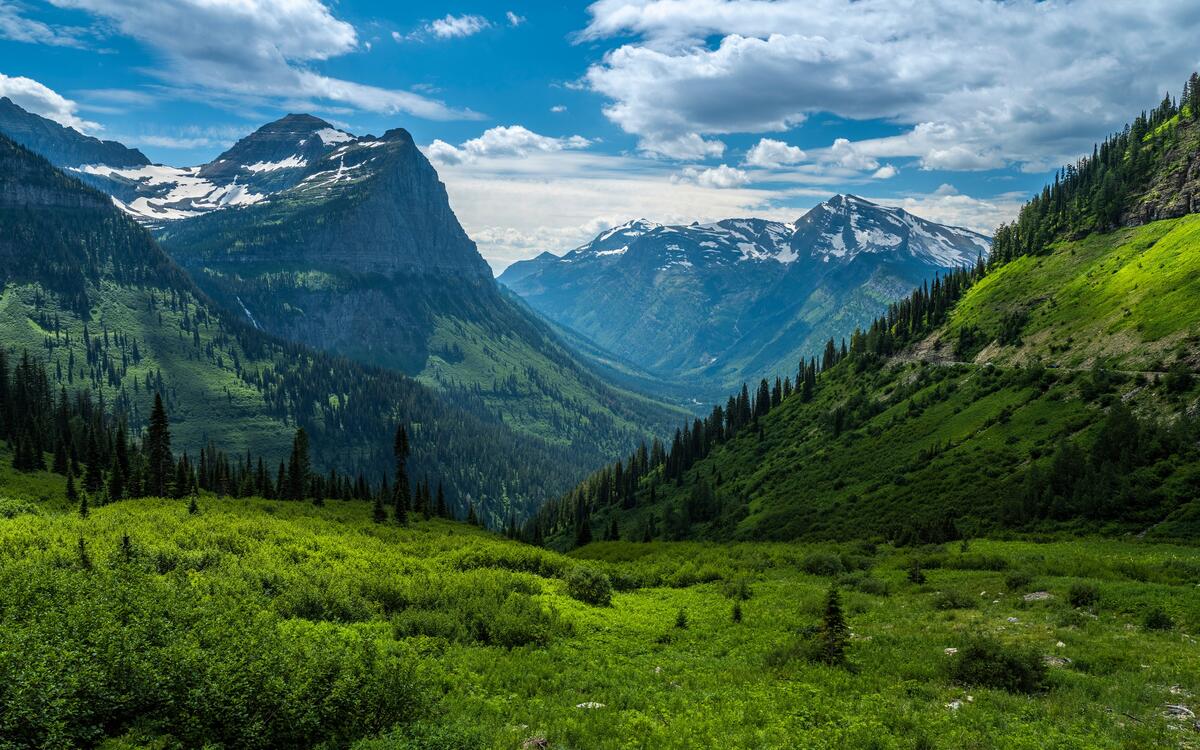 National Glacier Park in the United States in summer