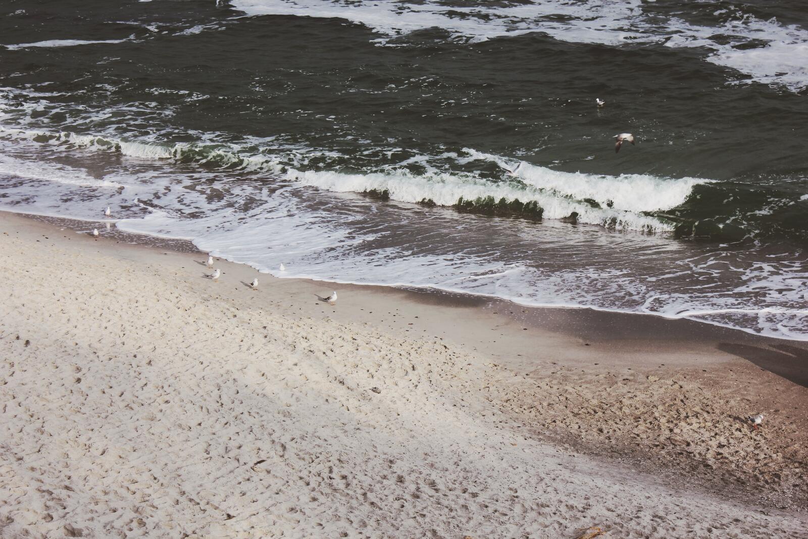 桌面上的壁纸海滩 海 海岸