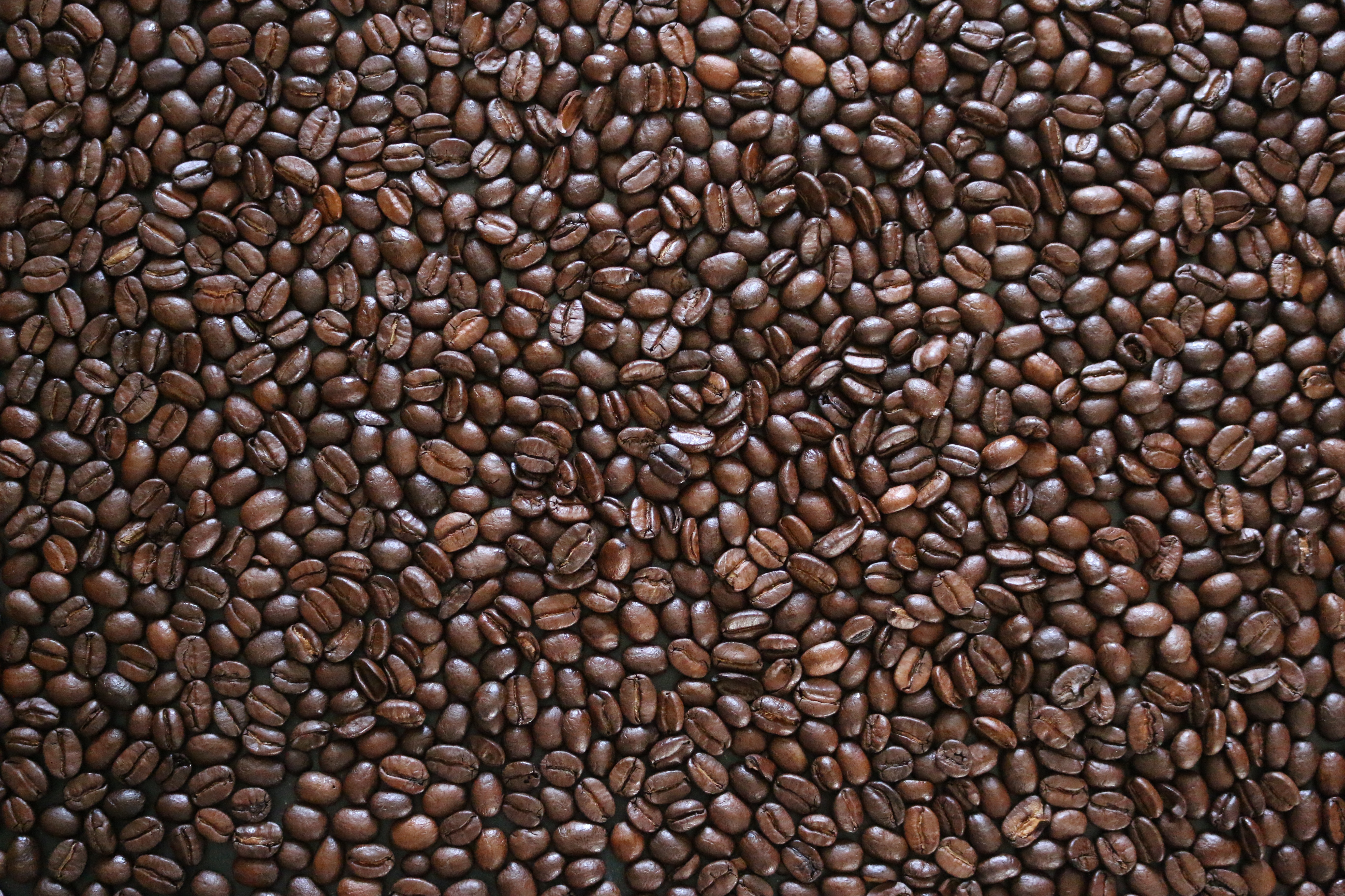 咖啡豆散落一地。