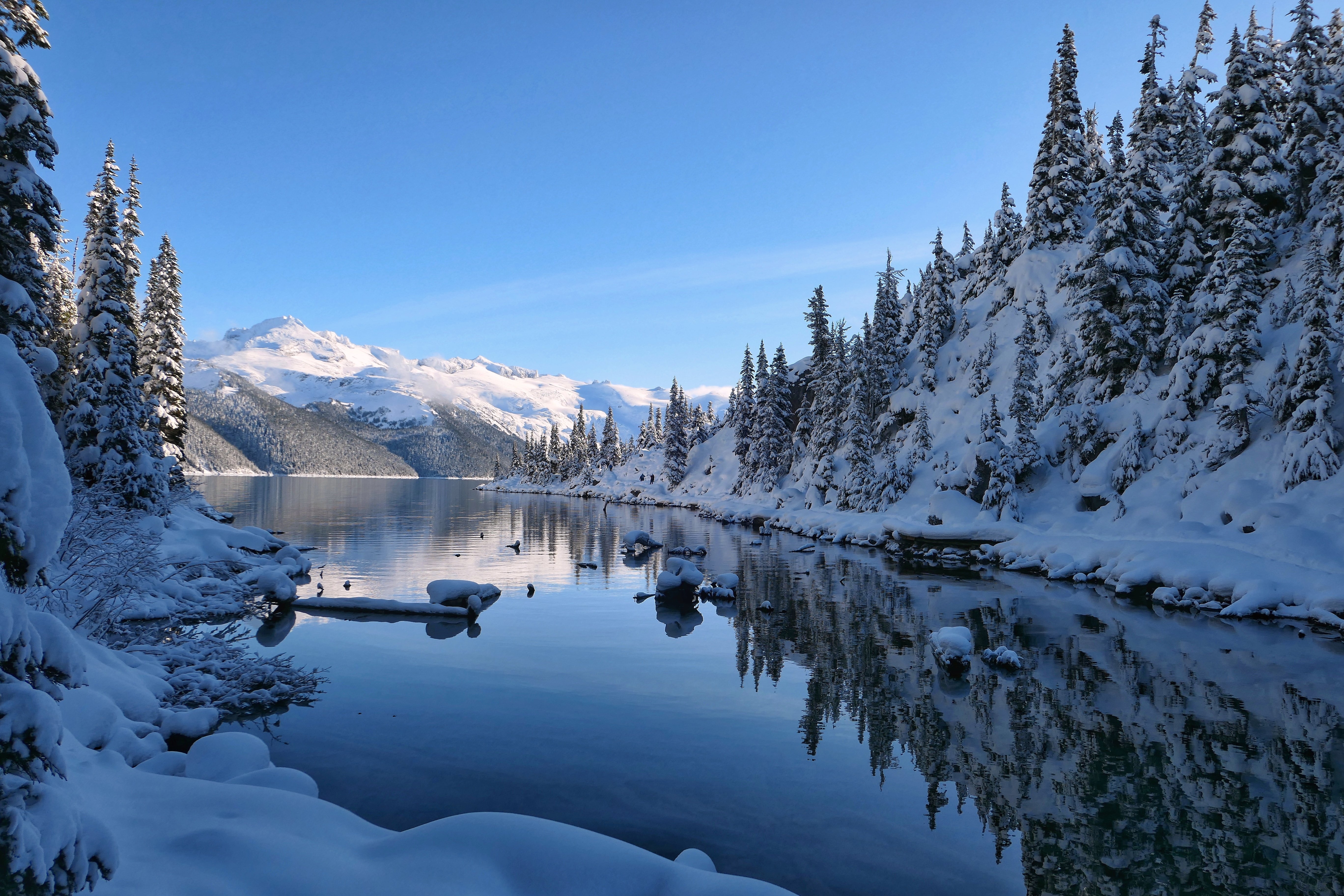 Clear skies over a lake with snowy shores