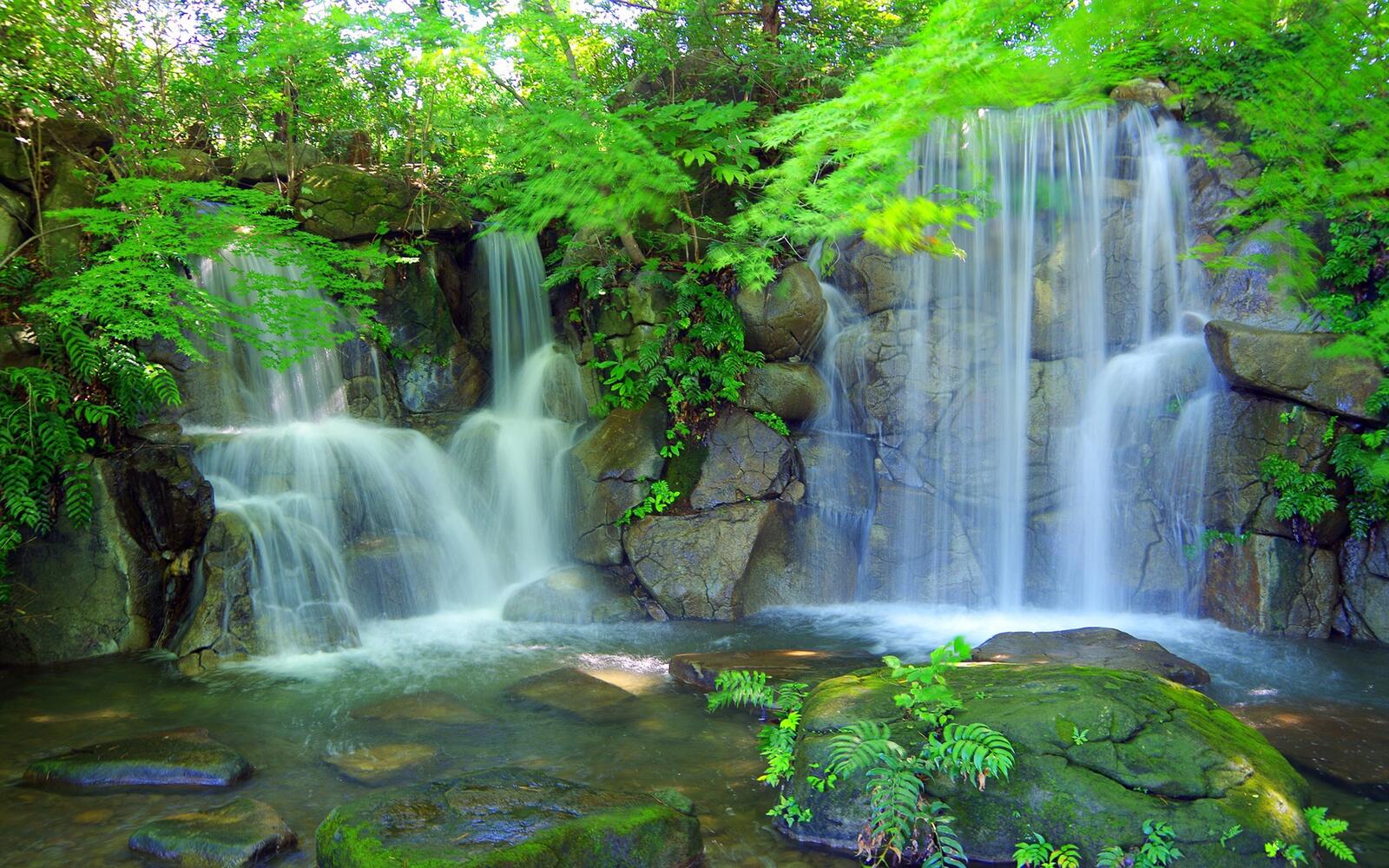 Бесплатное фото Водопад в летнем лесу