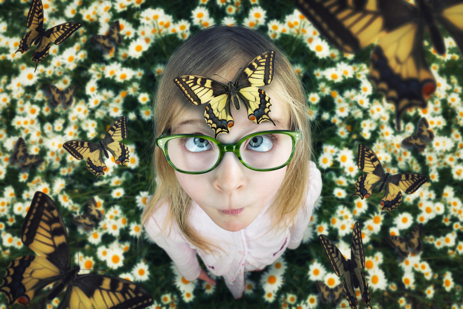 Free photo Funny little girl with a butterfly on her forehead.