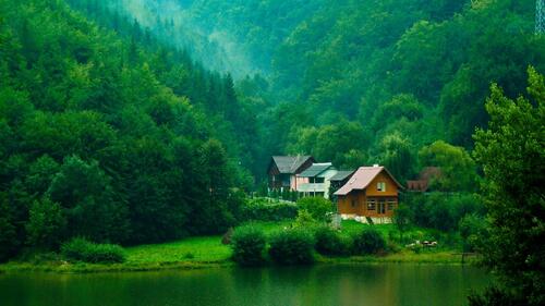 Дома в лесу на берегу реки