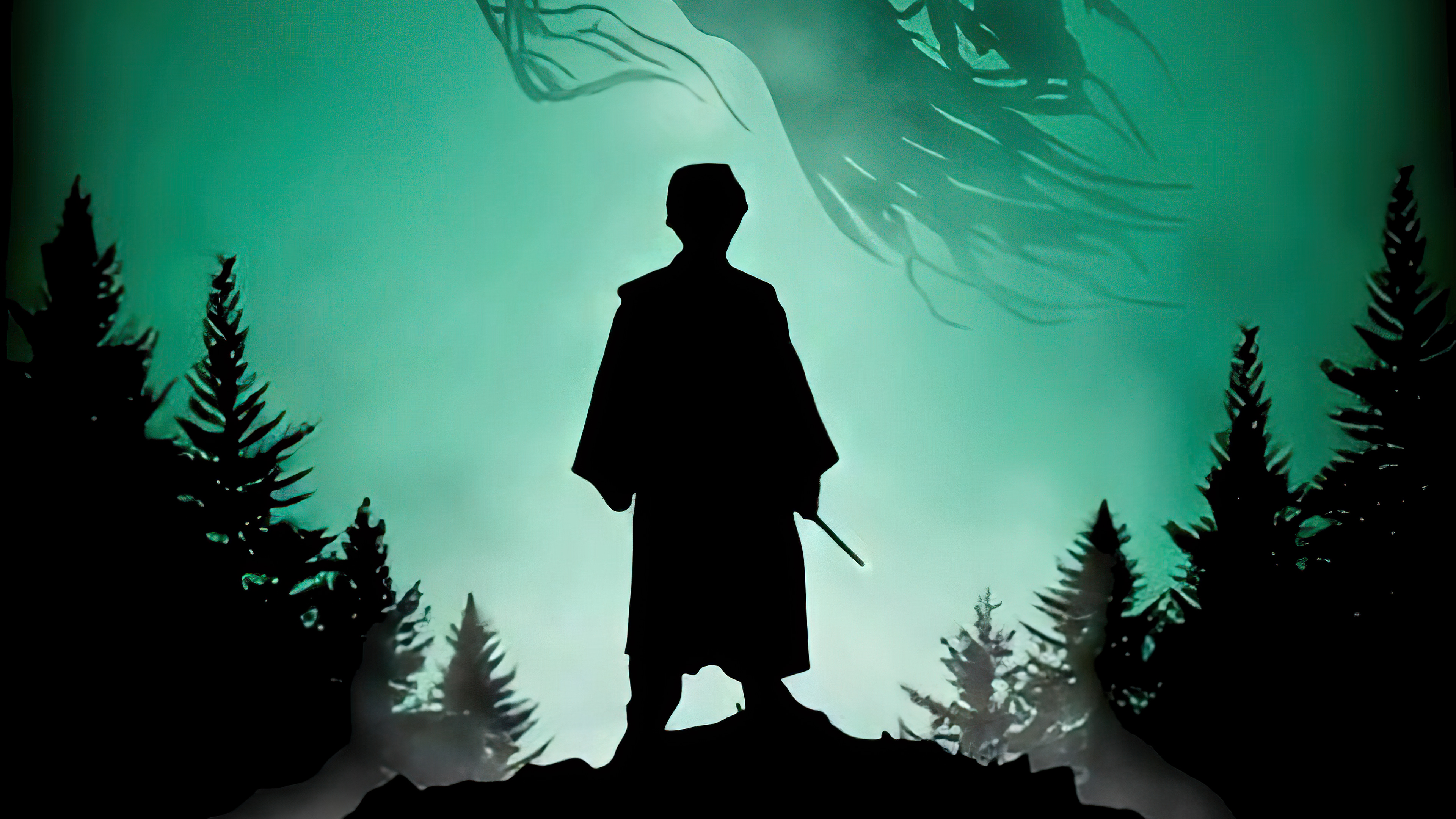 Wallpapers Harry Potter movies silhouette on the desktop