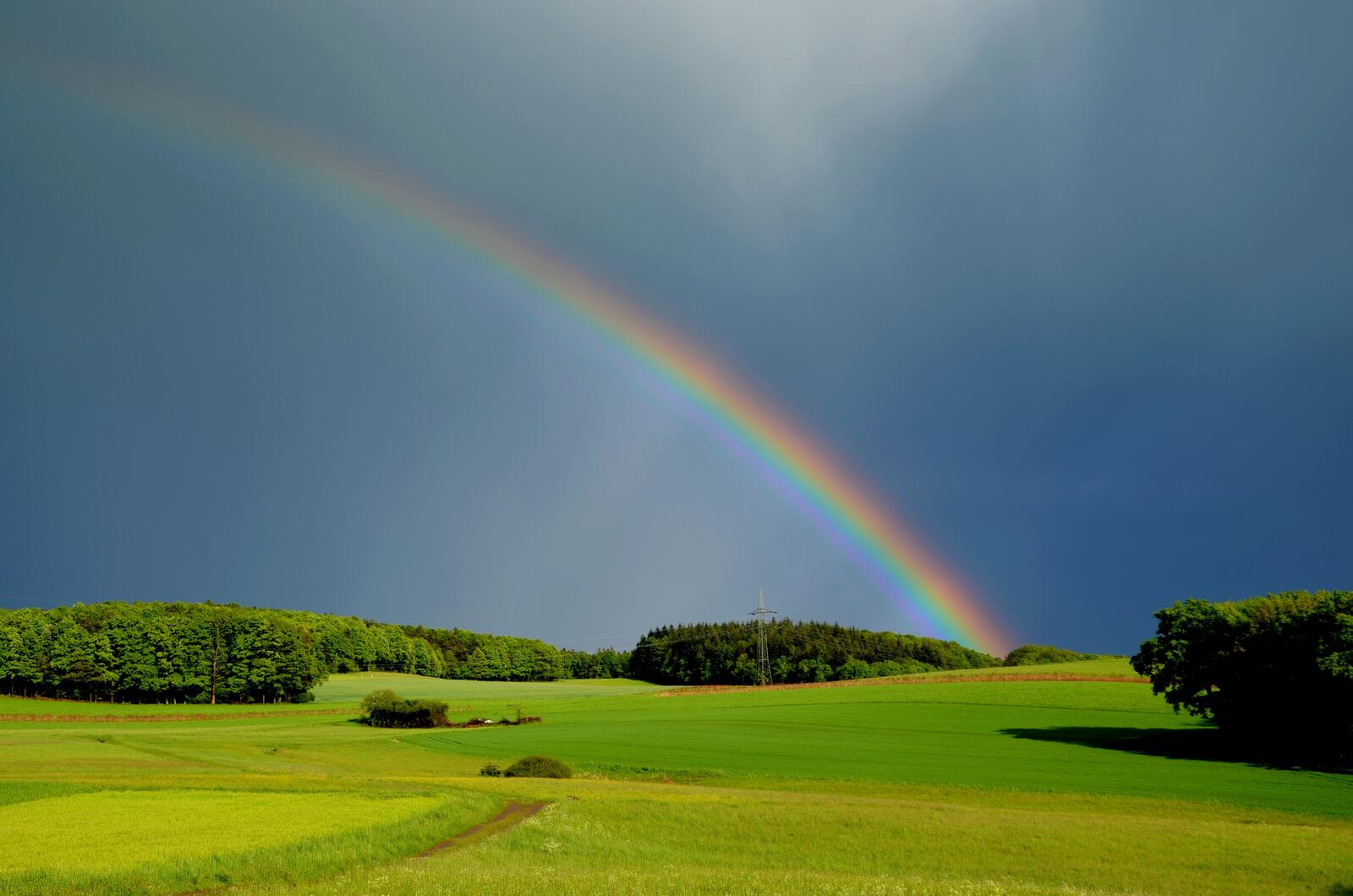 Бесплатное фото Большое зеленое поле на фоне радуги