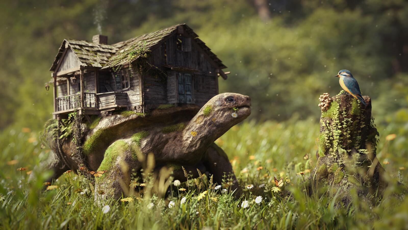 Бесплатное фото Сказочная черепаха с домом на спине смотрит на синичку
