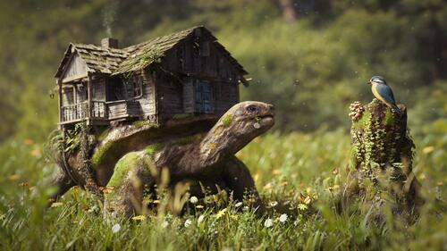 Сказочная черепаха с домом на спине смотрит на синичку