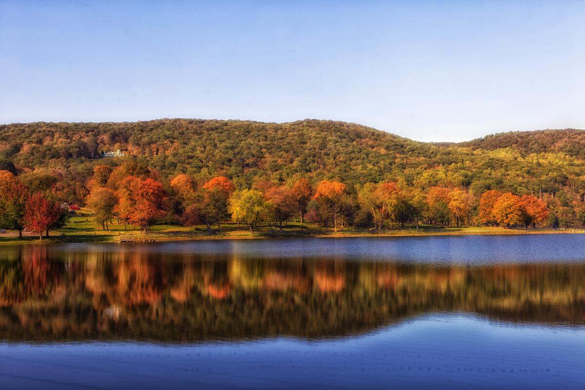Осенний пейзаж на берегу озера с красивым лесом