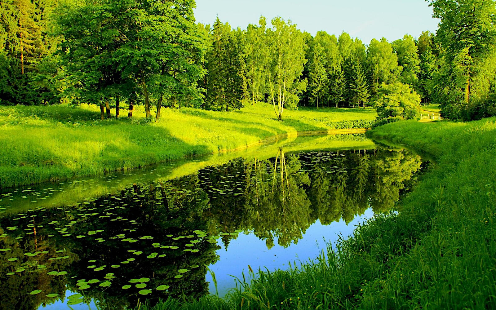 Бесплатное фото Река вдоль зеленых берегов