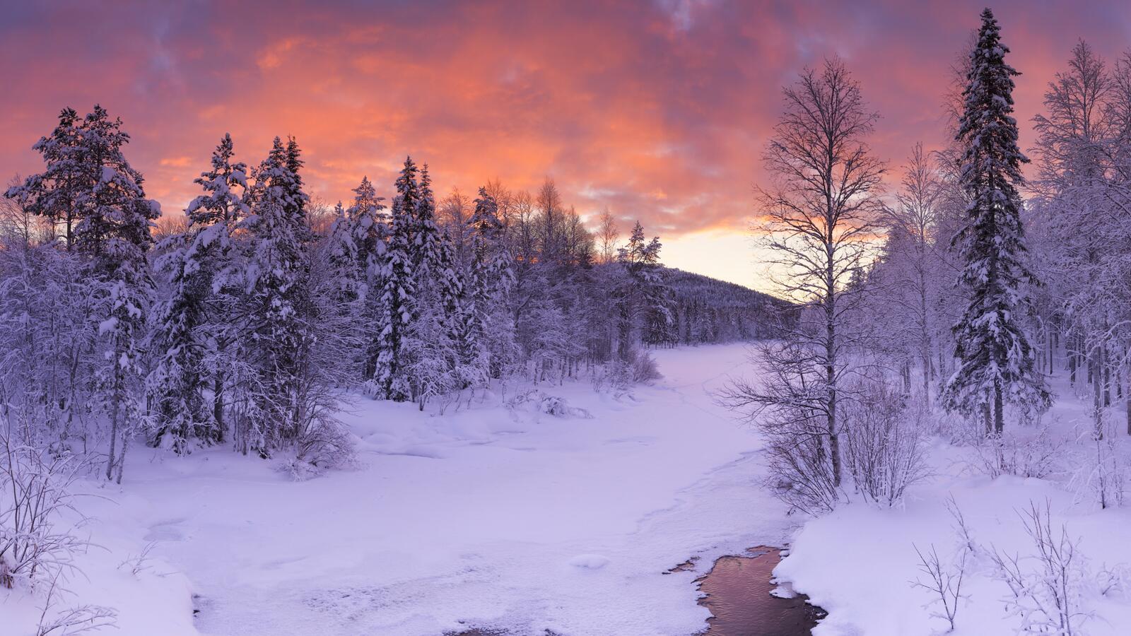 Бесплатное фото Замерзшая река покрытая снегом