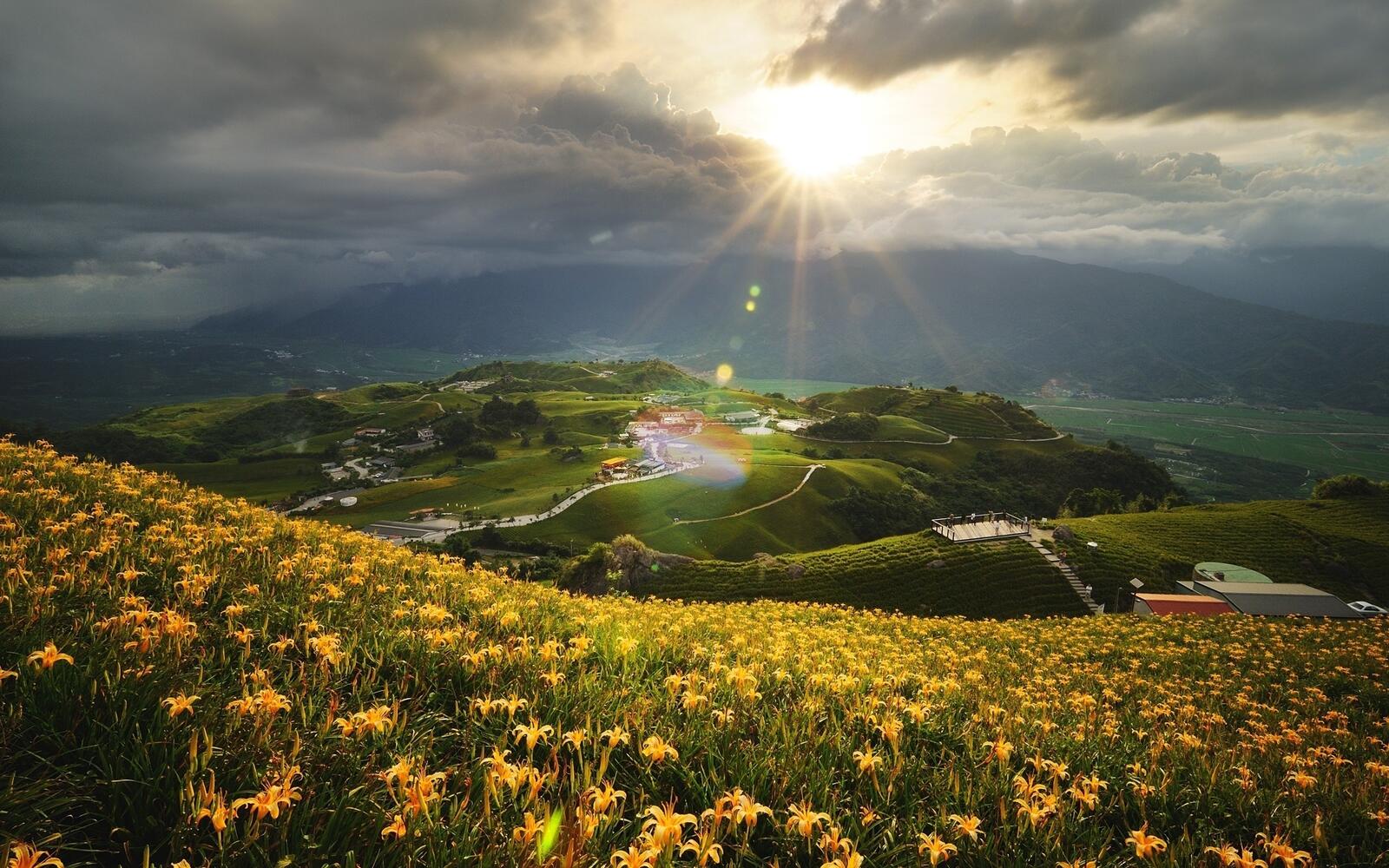 Бесплатное фото Солнце выходит из-за туч над полем с желтыми цветами