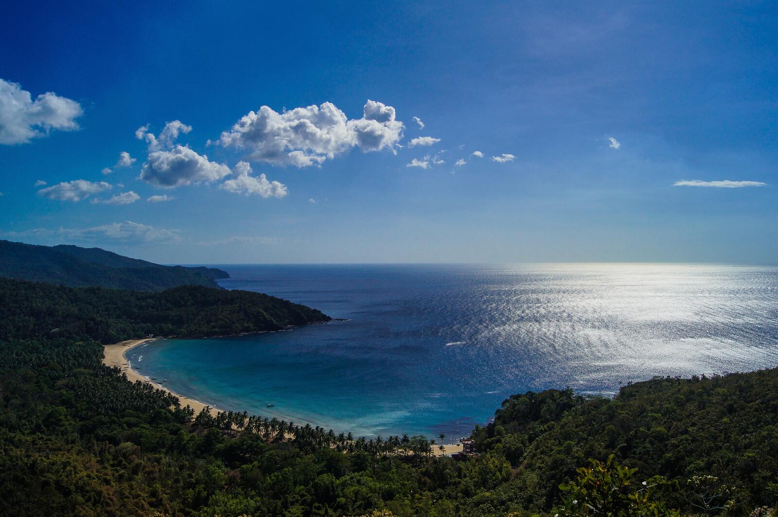 Бесплатное фото Песочный пляж на берегу океана окруженный лесом