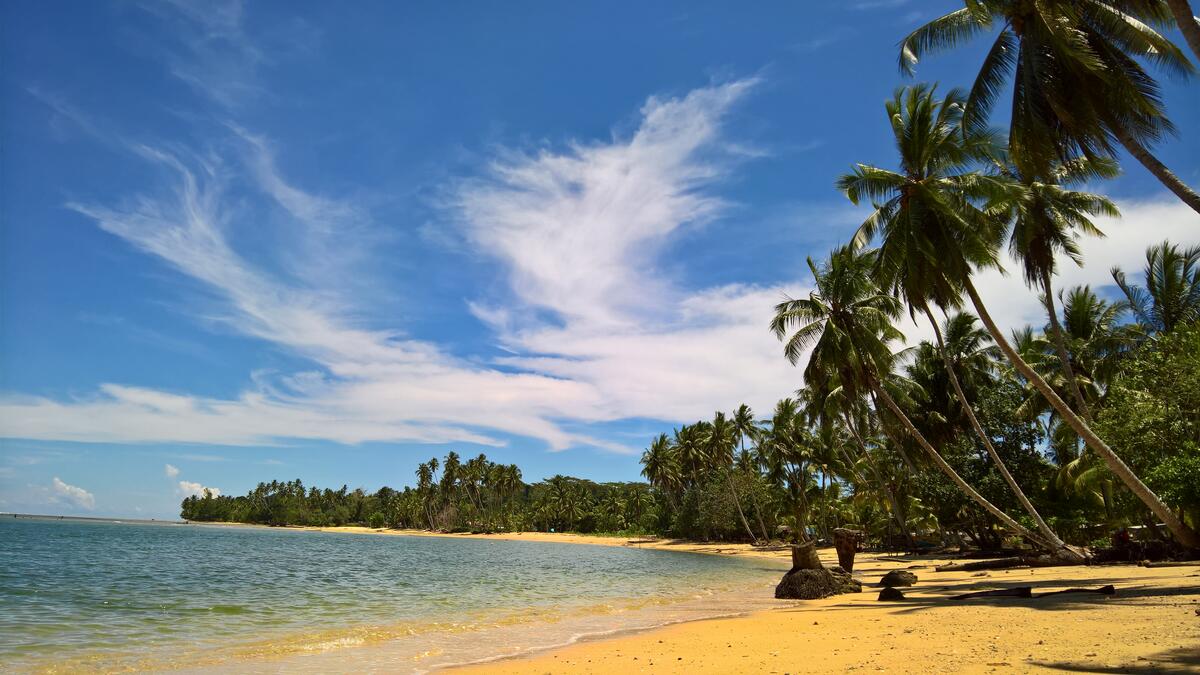 Остров с желтым песком и пальмами