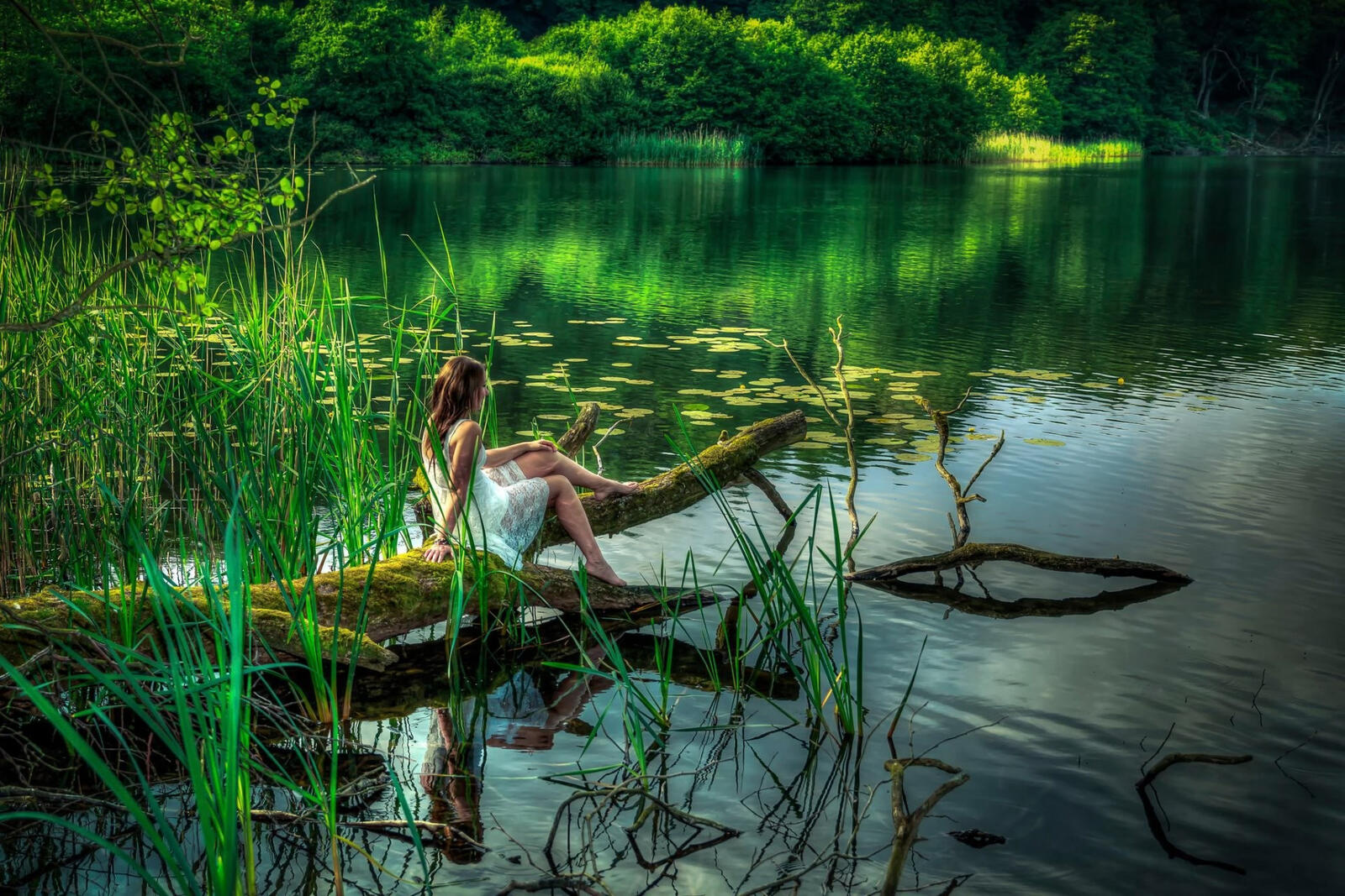免费照片一个女孩坐在湖边倒下的树上。
