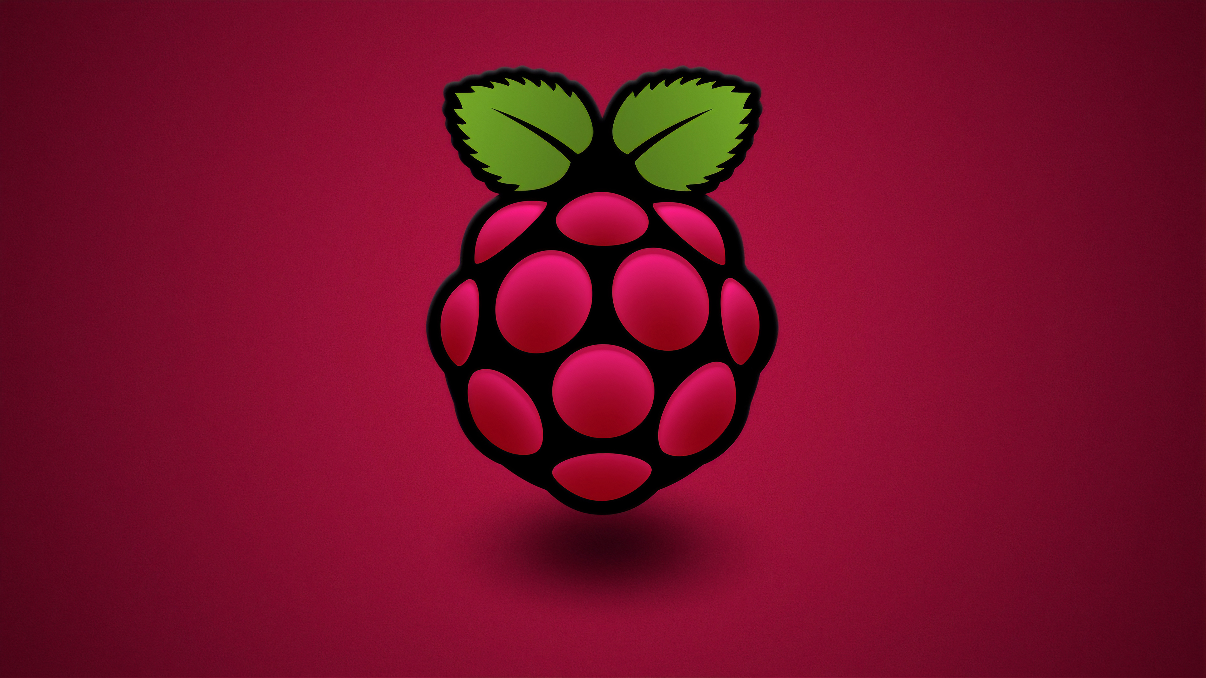 The raspberry pi logo