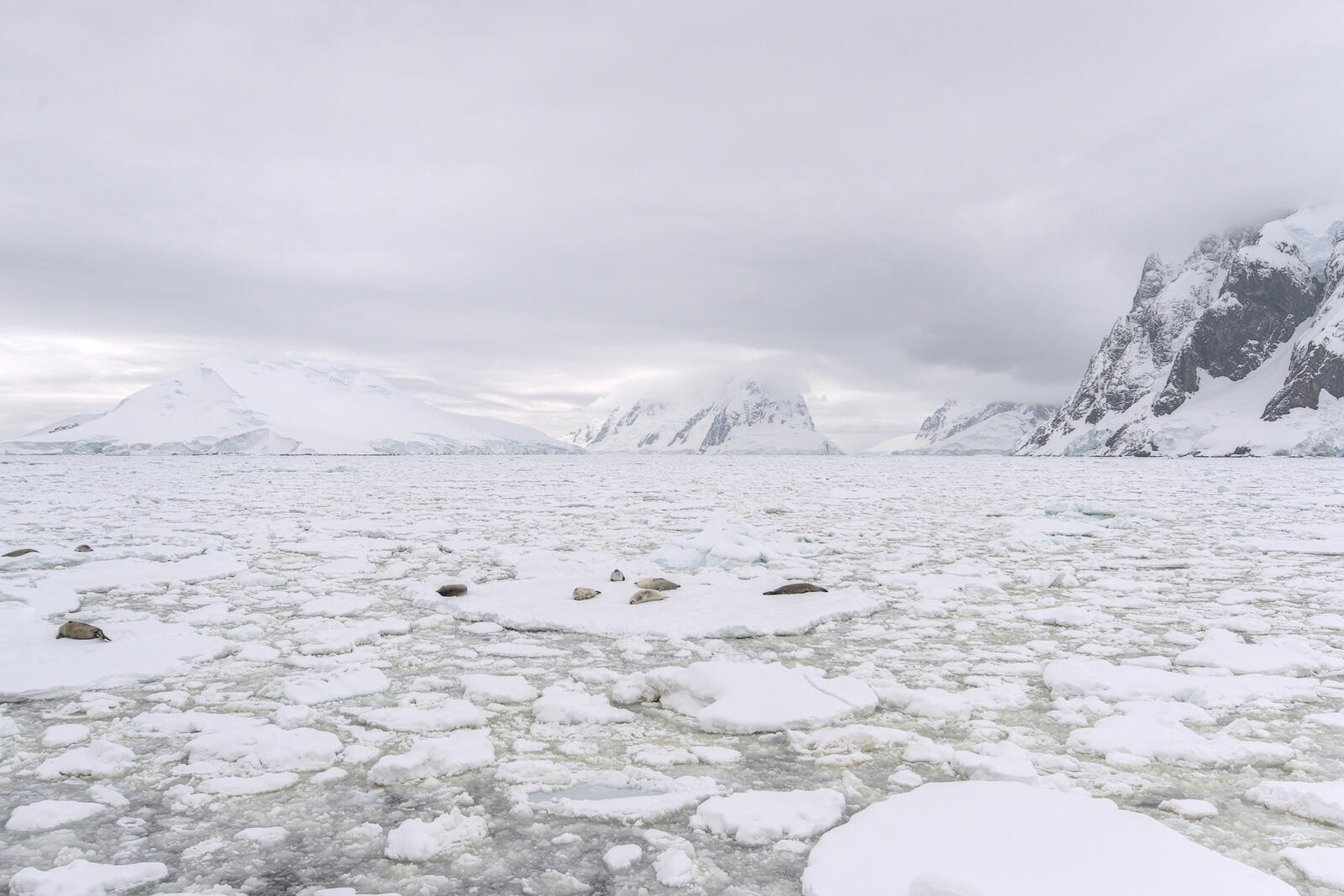 Бесплатное фото Замерзшее озеро в горах