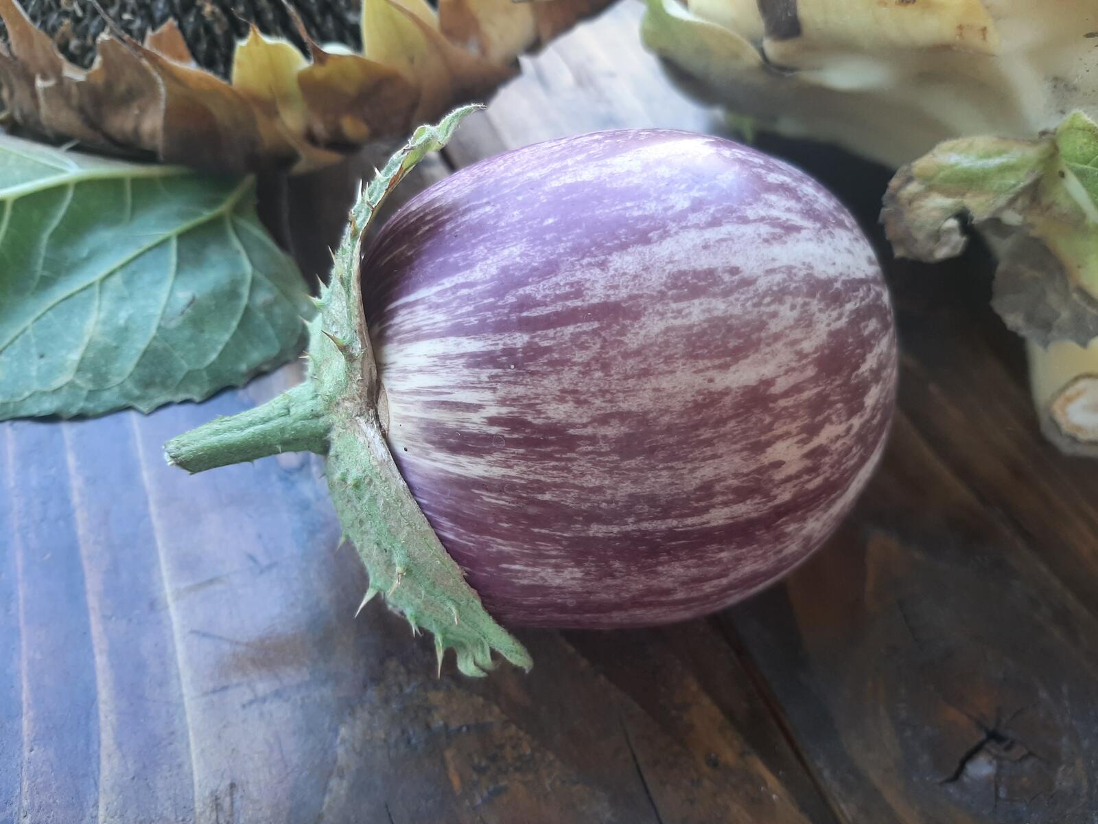 Free photo Round eggplant