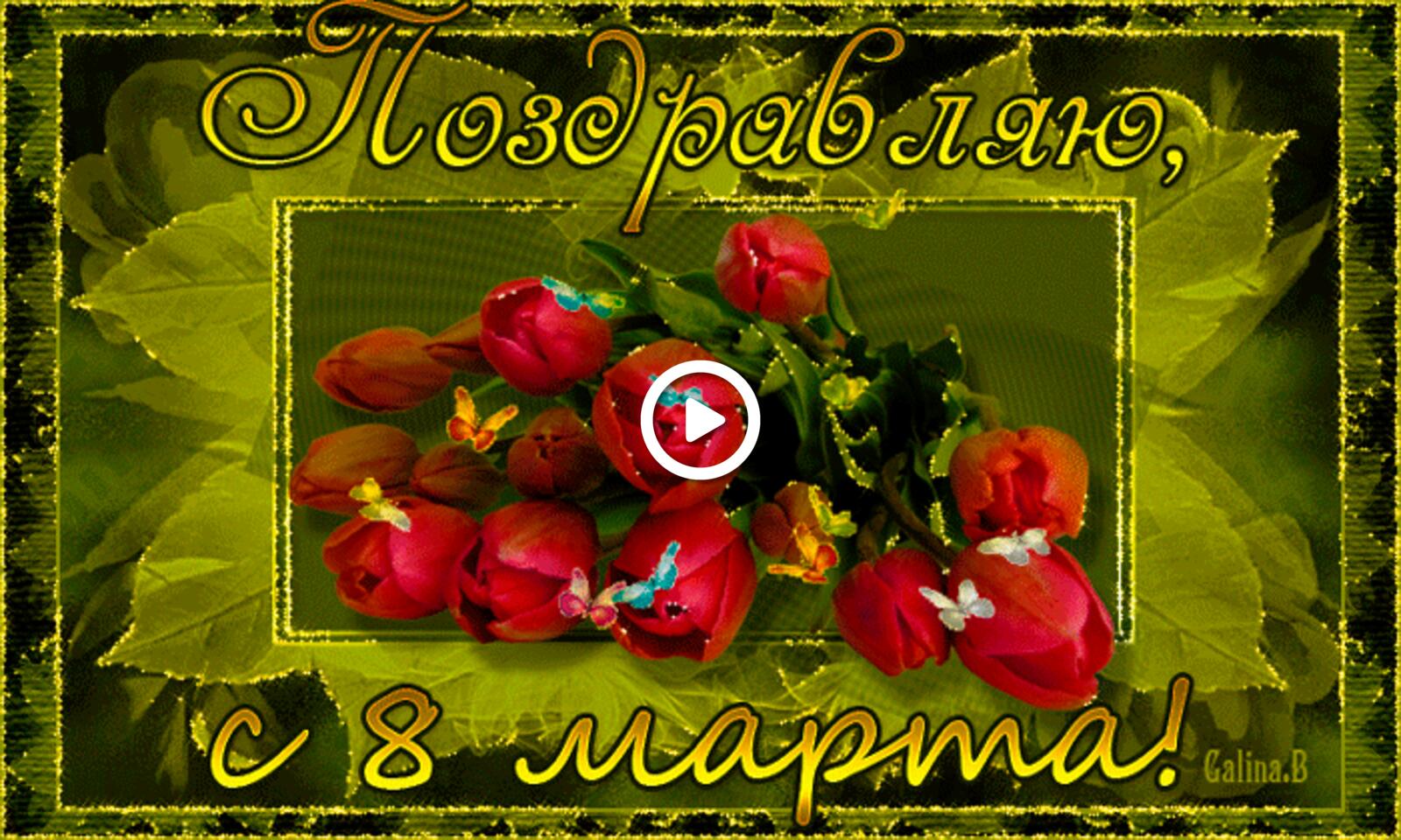 Бесплатная открытка Поздравление с 8 марта и красными тюльпанами