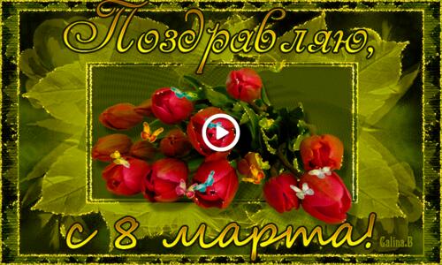 Поздравление с 8 марта и красными тюльпанами