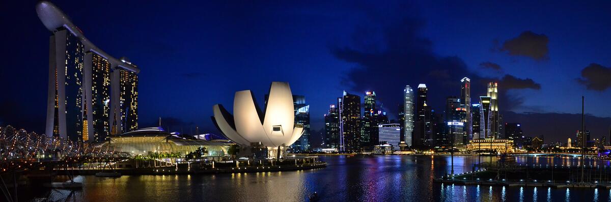 Marina Bay Sands in the Night