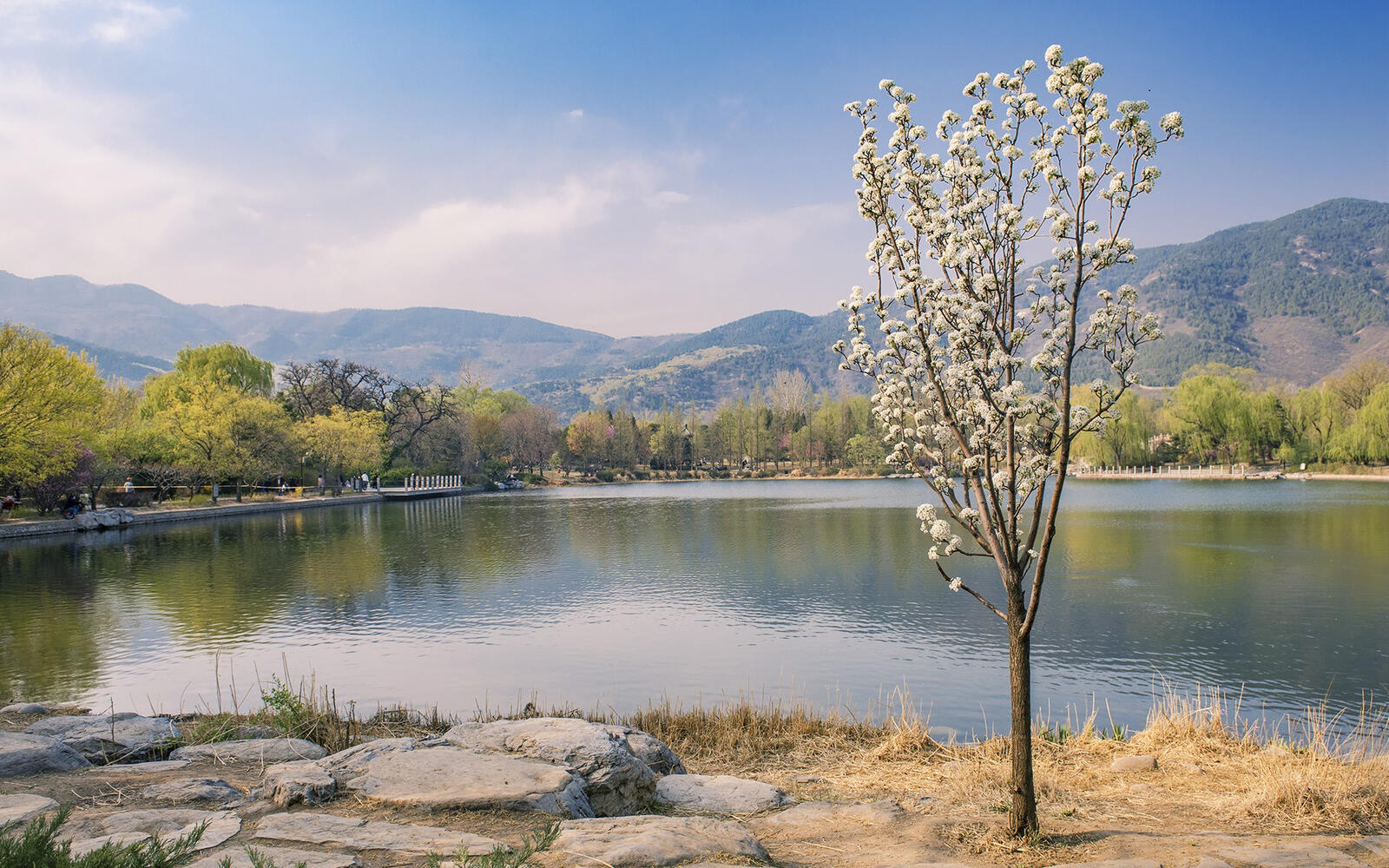 Бесплатное фото Красивый парк с озером в горной местности