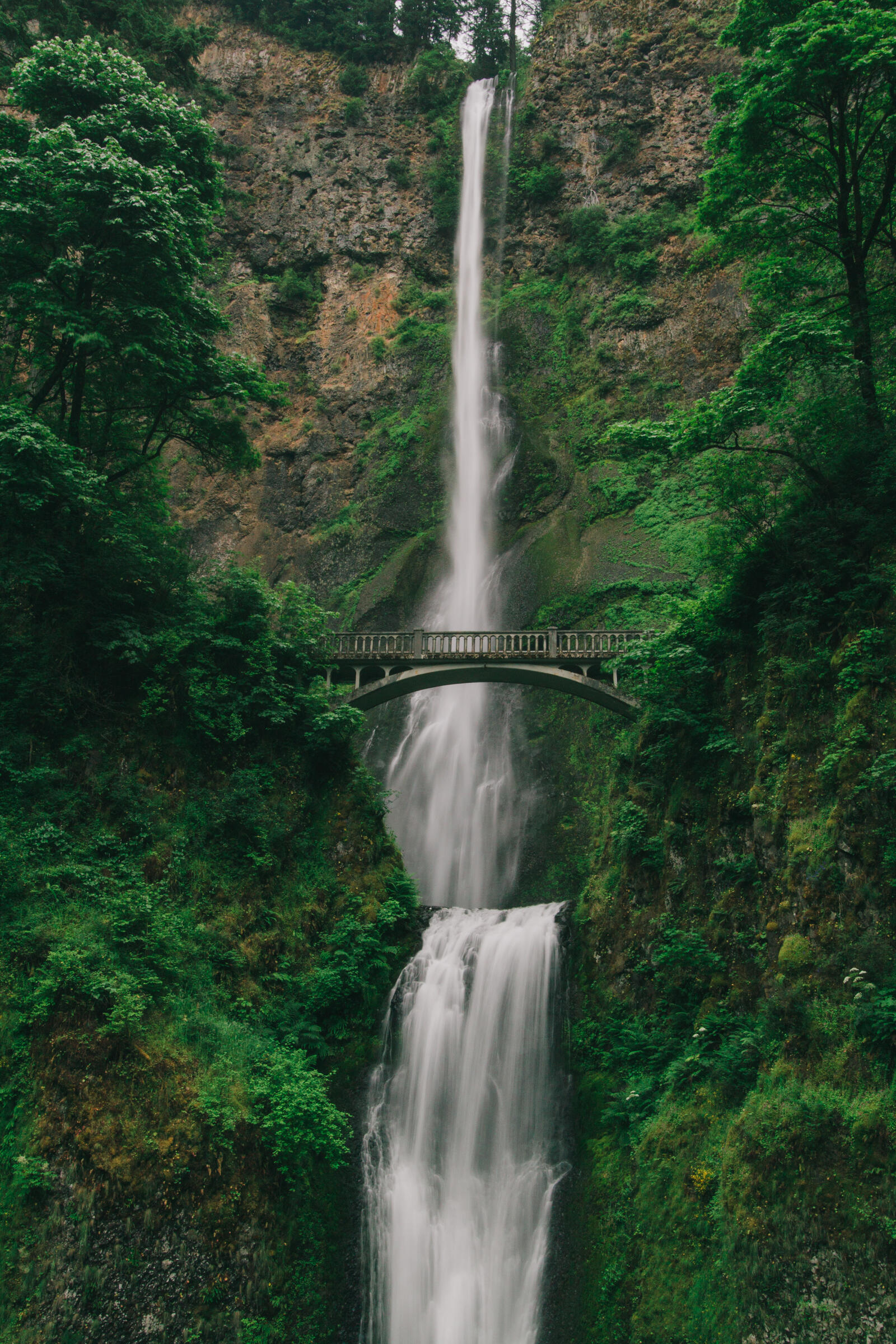 Бесплатное фото Высокий водопад в лесу