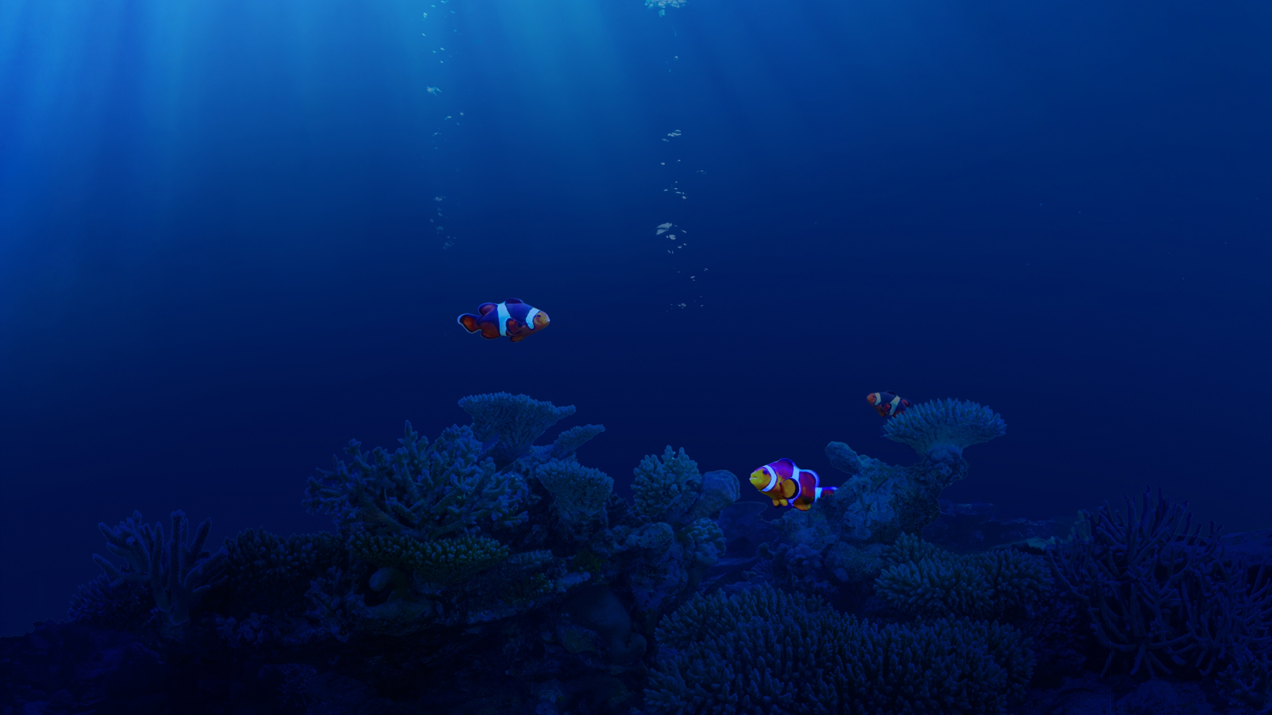 Бесплатное фото Морские рыбки на большой глубине