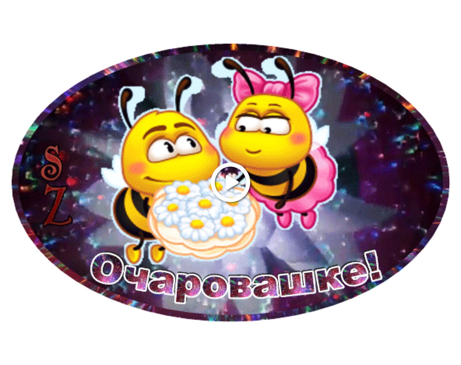 Открытка на тему очаровашка пчёлы ромашки бесплатно