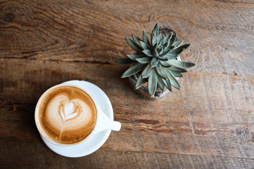 A cup of coffee with a plant on the table.