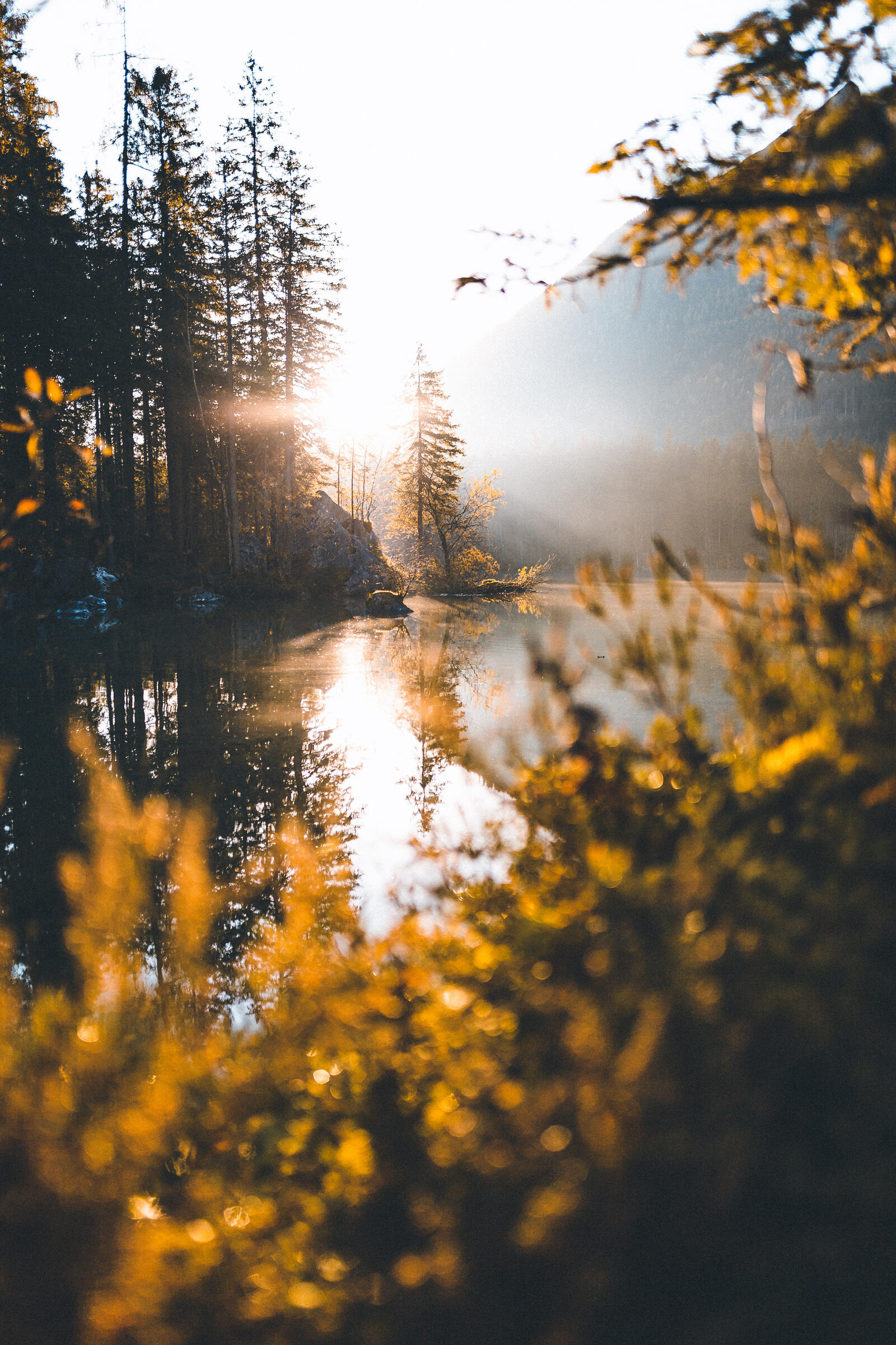 Бесплатное фото Прекрасное солнечное утро на реке