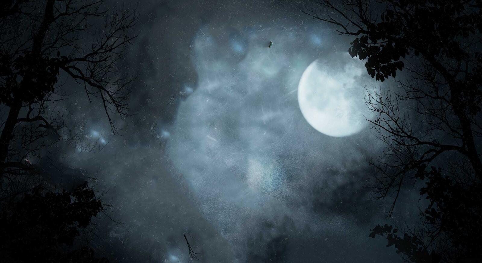 Бесплатное фото Ночное лунное небо