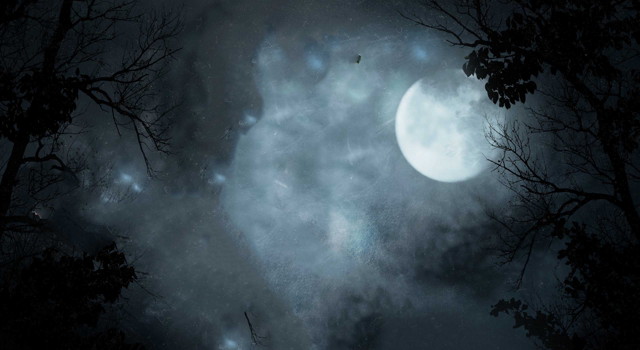 免费照片月光下的夜空