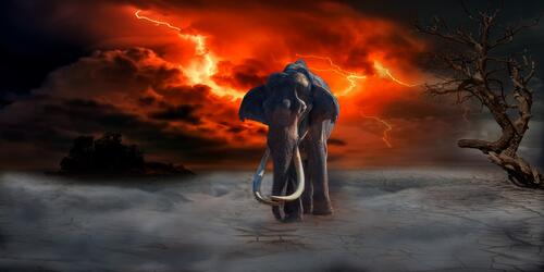 An elephant with fangs against a stormy sky