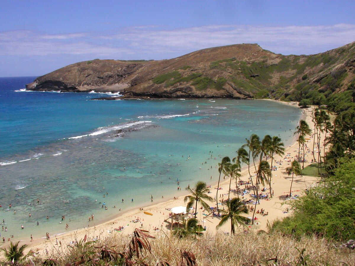 A sandy shore in Hawaii