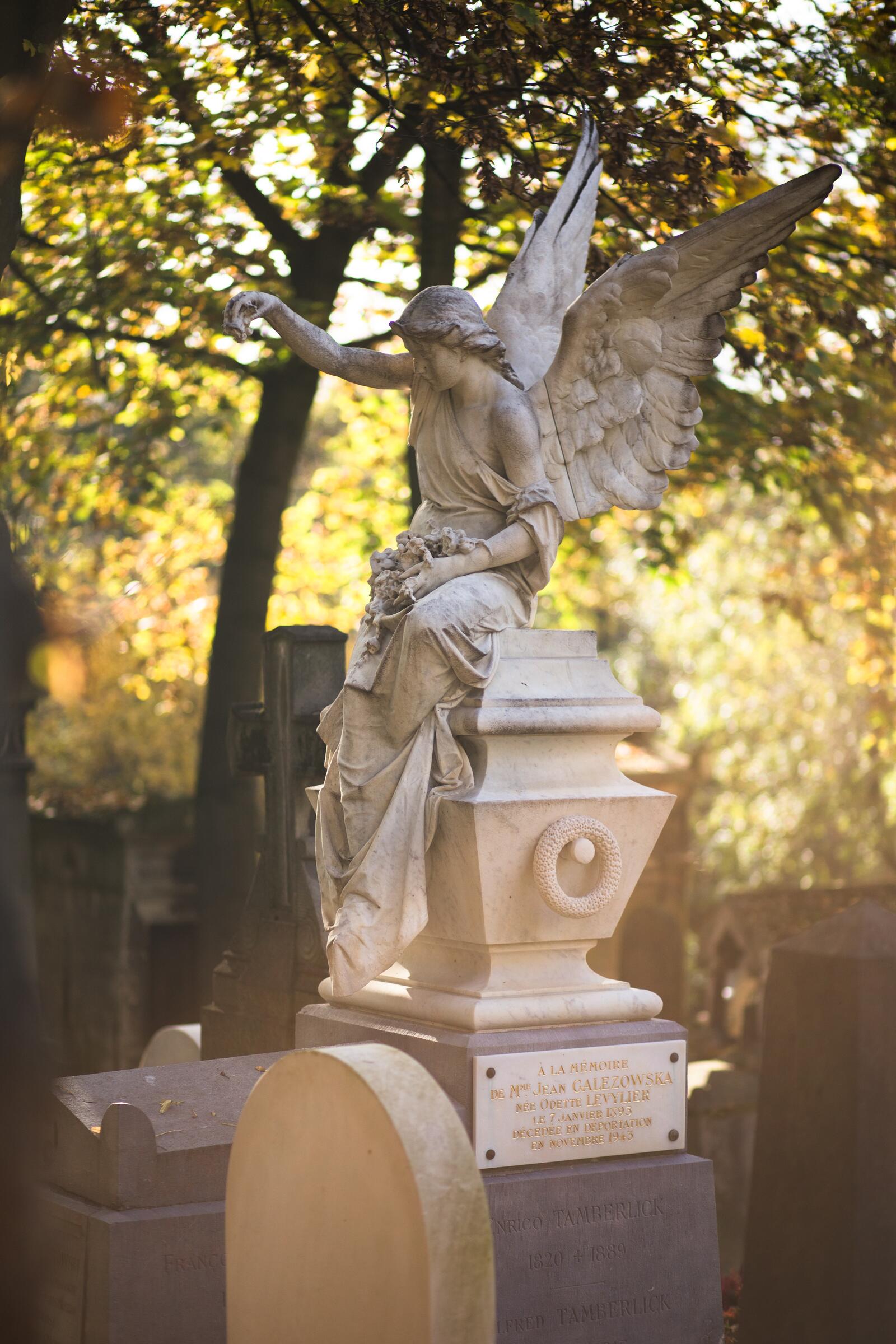 Wallpapers monument angel cemetery on the desktop