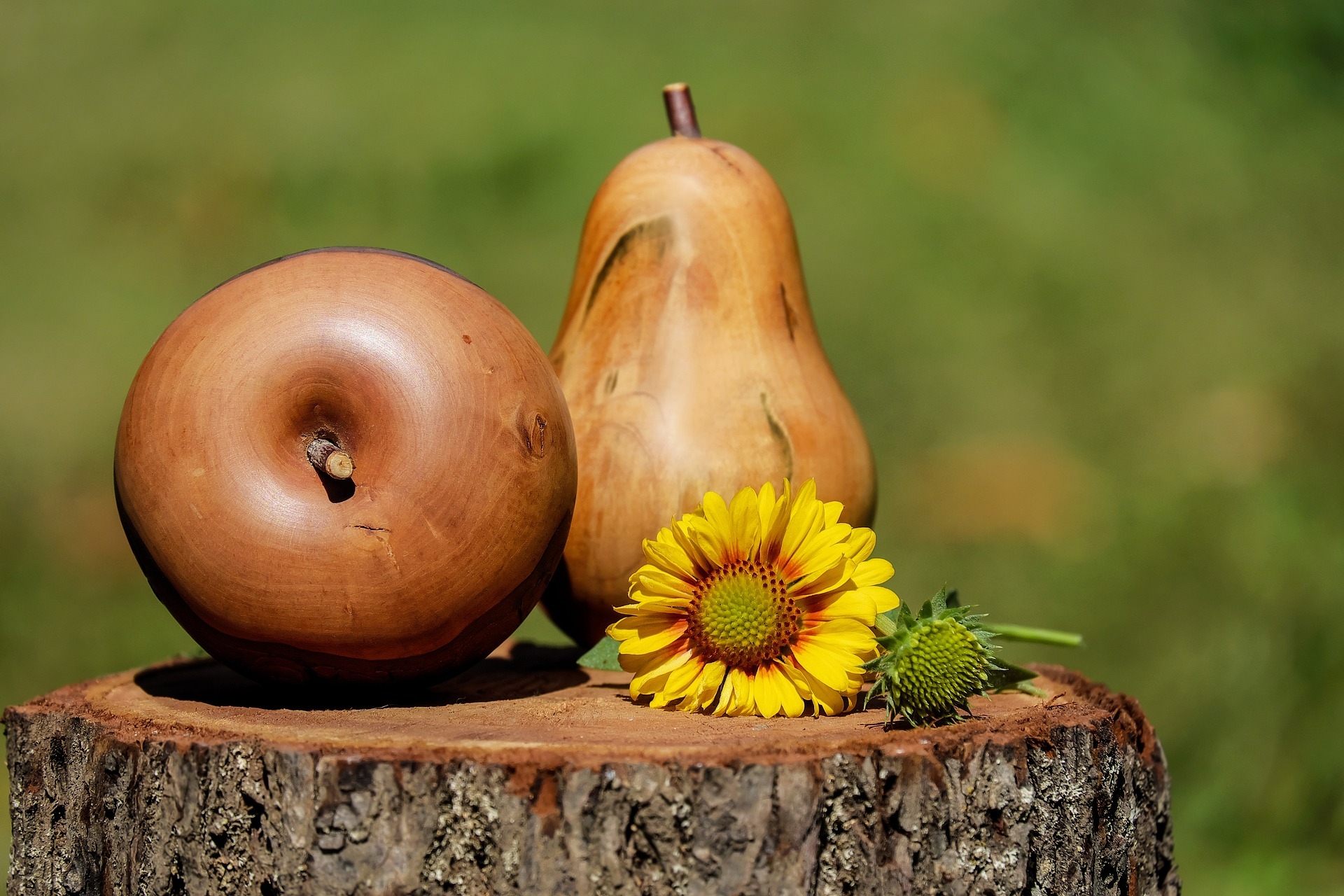 Фото бесплатно обои яблоко, подсолнечник, древесина