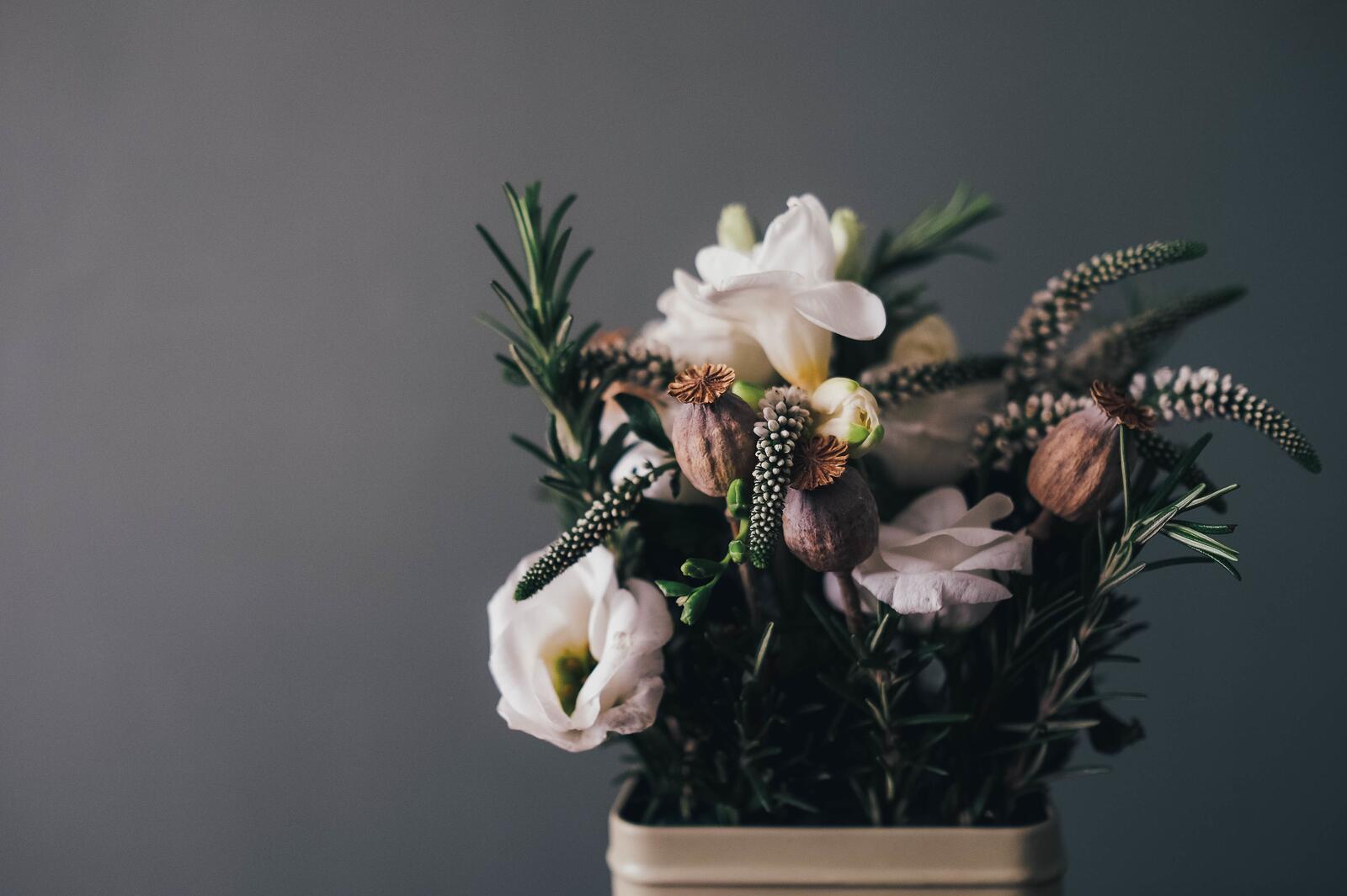 Free photo Vase with potted flowers on the background of gray wall