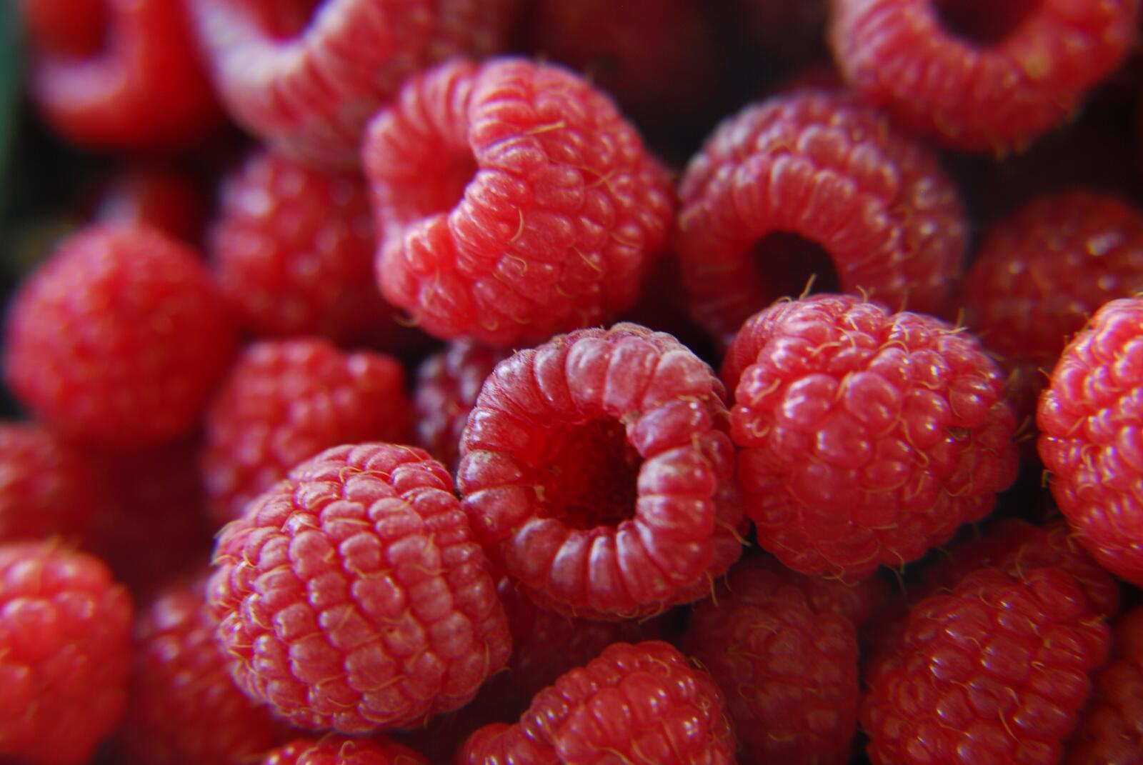 Free photo Raspberries close-up