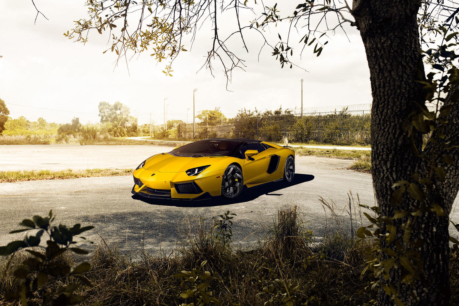 Free photo Yellow Lamborghini Aventador