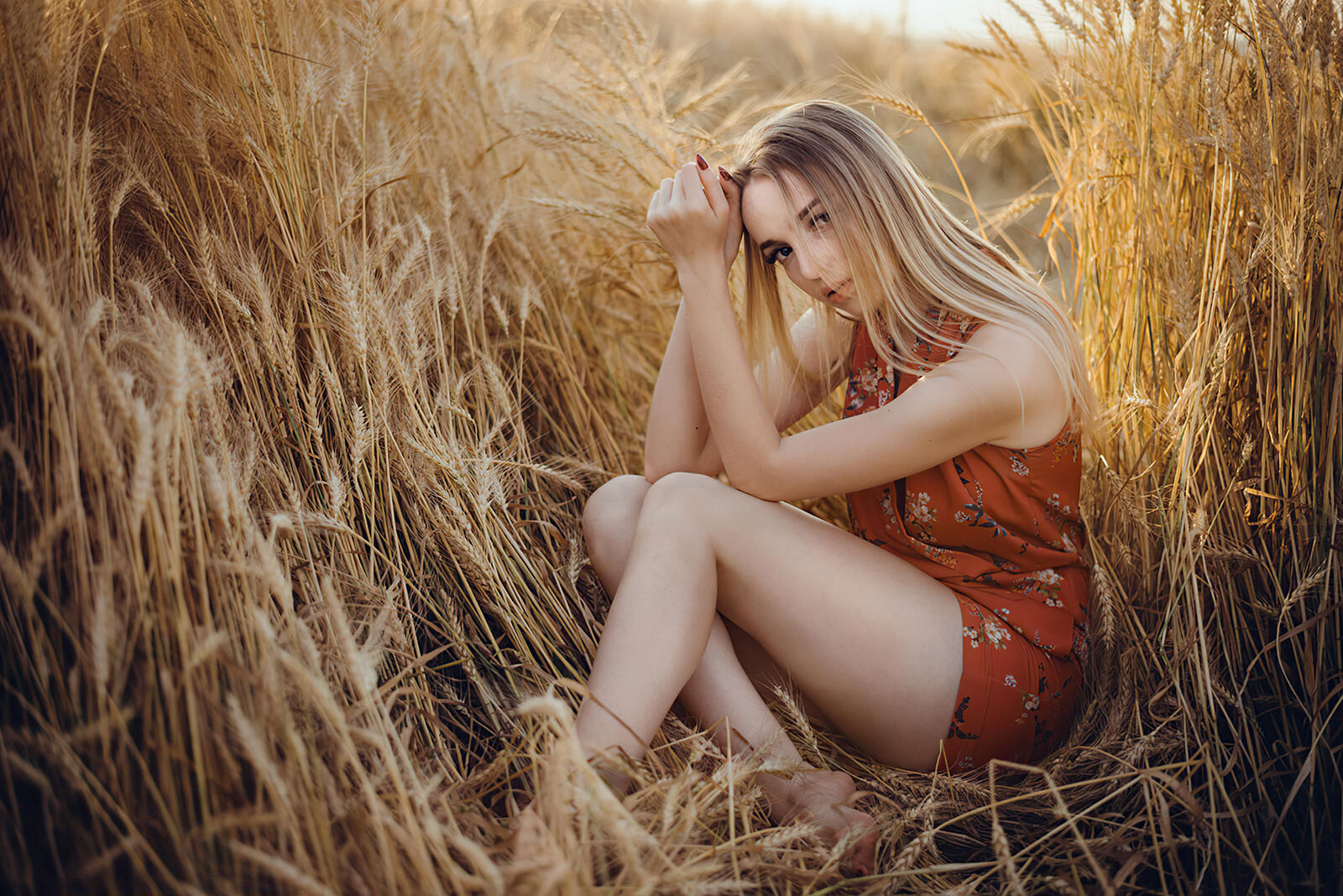 Бесплатное фото Девушка сидит в высокой траве пшеницы